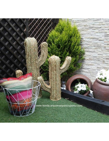 Cactus de esparto natural