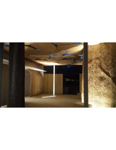 INNOVATION AVEC SPARTE AU MUSÉE DU FORUM ROMAIN DE CARTHAGÈNE-MURCIE