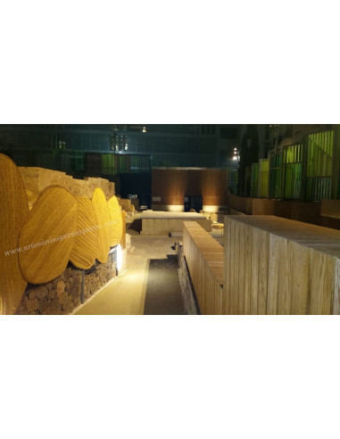 INNOVATION AVEC SPARTE AU MUSÉE DU FORUM ROMAIN DE CARTHAGÈNE-MURCIE