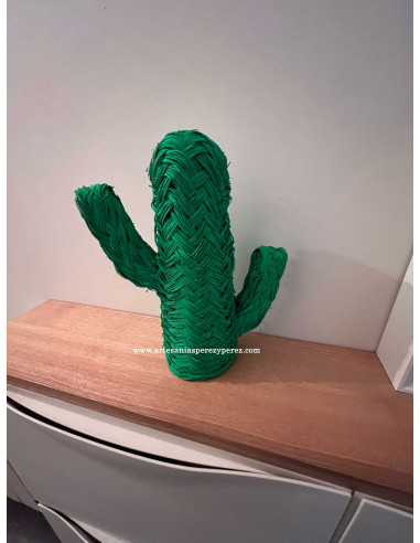 Cactus de esparto natural con color para ocasiones