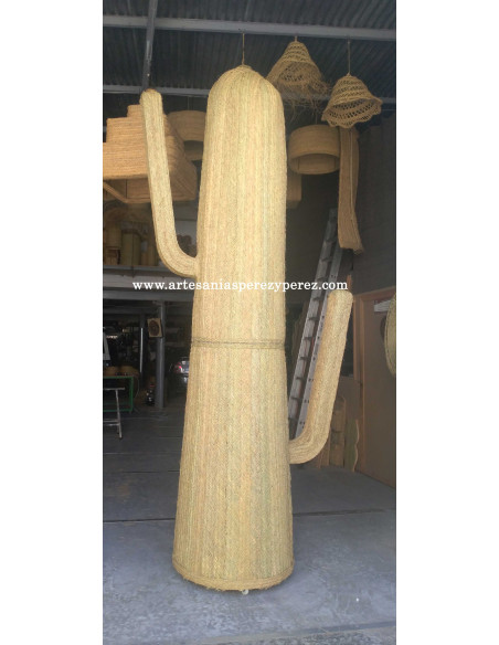 Cacto esparto natural de 3,20mt de altura para peça de teatro