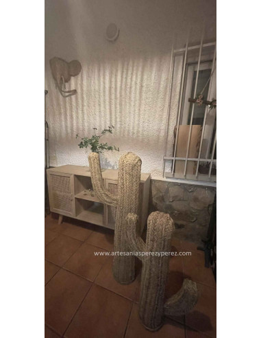 Cactus en sparte naturel