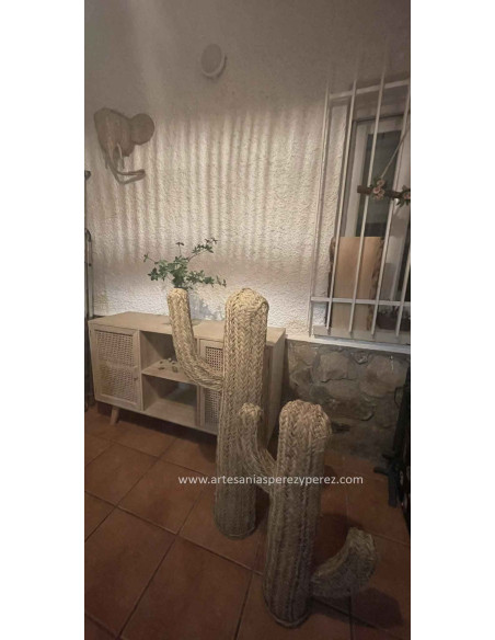 Cactus en sparte naturel