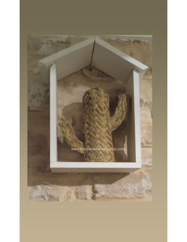 Étagère de maison avec le cactus d’sparte