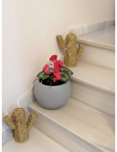 Natural esparto cactus 2