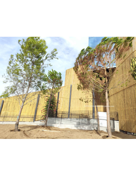 Utamed Málaga: revestimento em esparto natural sustentável e artesanal
