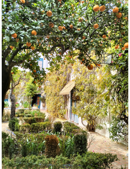 Marquises en sparte naturel au Palais de Viana | Artisanat