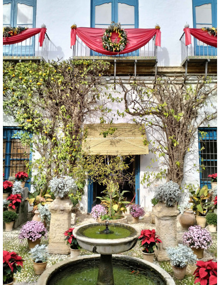 Natural esparto canopies at the Palace of Viana | Handcrafted