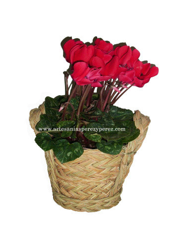 Round plant pot with two handles