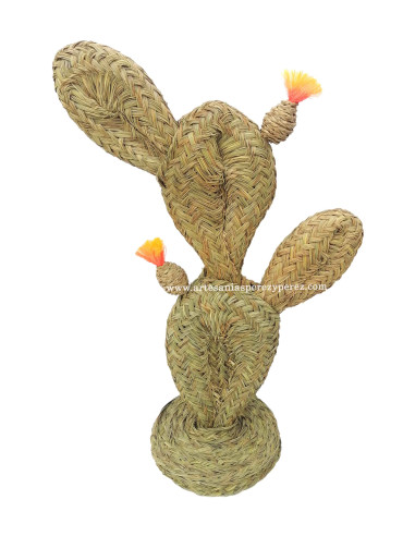 Cacto de pera espinhosa de esparto com flores e frutas