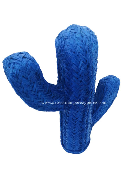 Natural esparto cactus in color