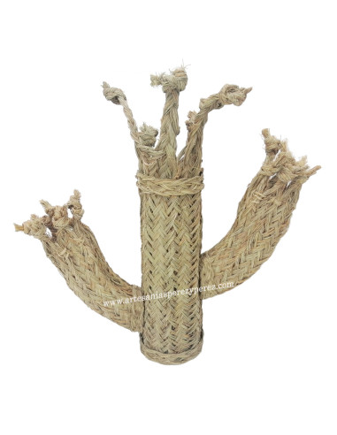Cactus Cardón en sparte naturel