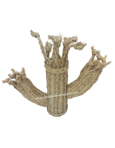 Cactus Cardón en sparte naturel