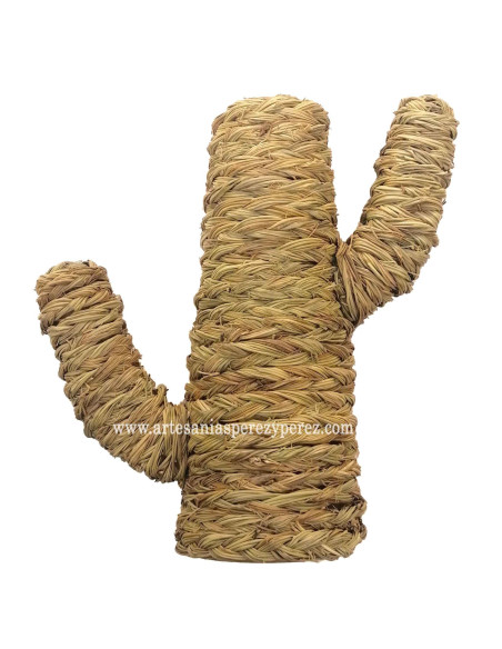 Cacto esparto natural com design circular