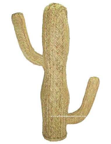 Cacto em esparto natural em diferentes designs e tamanhos