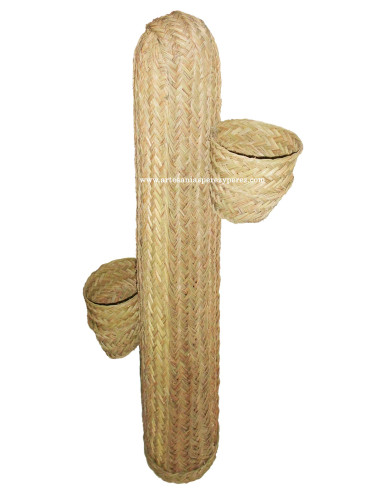 Cactus plant pot of esparto with two pots 2