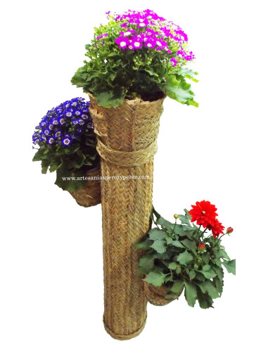 Cactus plant pot of esparto with three pots