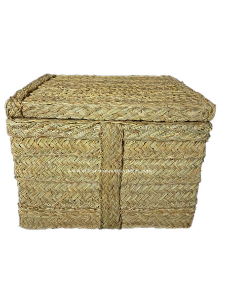 Natural Sparte Basket/Chest with Lid and Wheels | Handcrafted Storage