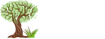 Artesanías Pérez y Pérez
